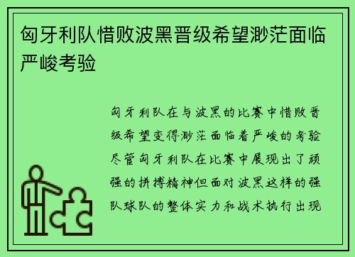 匈牙利队惜败波黑晋级希望渺茫面临严峻考验