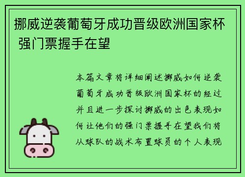 挪威逆袭葡萄牙成功晋级欧洲国家杯 强门票握手在望 挪威逆袭葡萄牙成功晋级欧洲国家杯 强门票握手在望