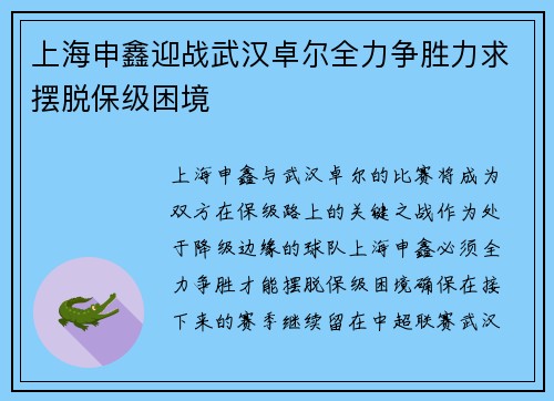 上海申鑫迎战武汉卓尔全力争胜力求摆脱保级困境